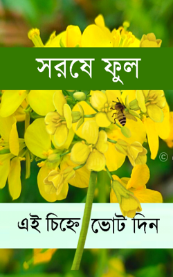 সরষে ফুল
