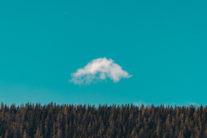 The beauty and truth of being religious are faith and worship.