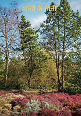 शब्दों के मोती