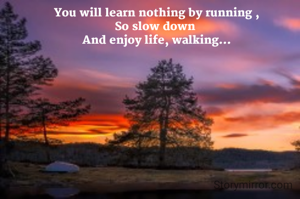 You will learn nothing by running ,
So slow down 
And enjoy life, walking...