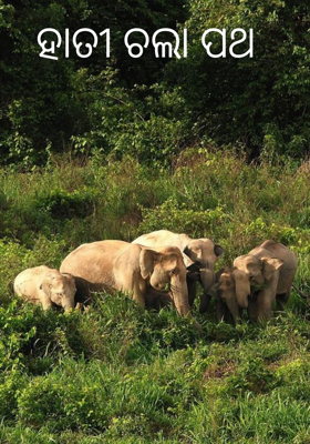 ହାତୀ ଚଲା ପଥ