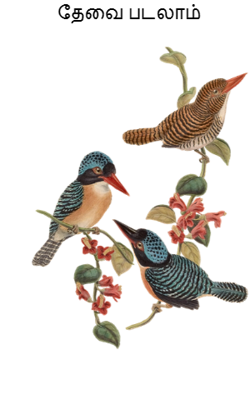 தேவை படலாம்