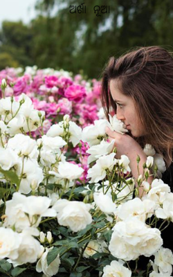 ଅର୍ଖା ନୂଆ