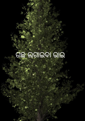 ଗଛ ଲଗାଇବା ଭାଇ