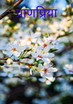 प्राणप्रिया