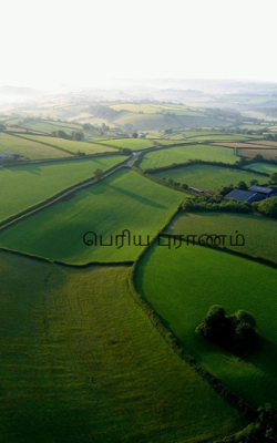பெரிய புராணம்