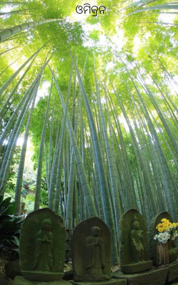 ଓମିକ୍ରନ