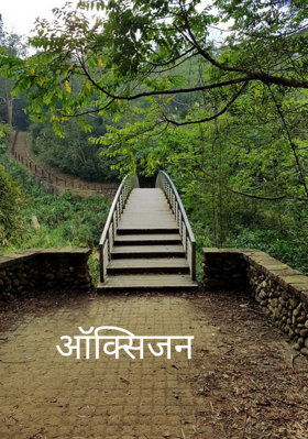 ऑक्सिजन