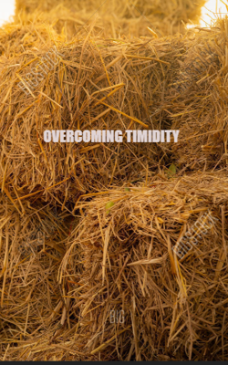 Overcoming Timidity