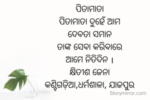 ପିତାମାତା
ପିତାମାତା ଦୁହେଁ ଆମ
ଦେବତା ସମାନ
ତାଙ୍କ ସେବା କରିବାରେ
ଆମେ ନିତିଦିନ ।
କ୍ଷିତୀଶ ଜେନା
କଣ୍ଟିଗଡ଼ିଆ,ଧର୍ମଶାଳା, ଯାଜପୁର