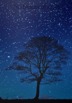 The Beauty Of Night