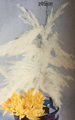 उपेक्षिता