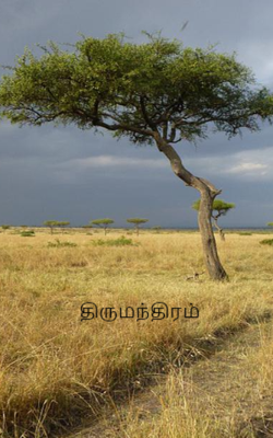 திருமந்திரம்