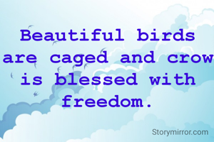 Beautiful birds are caged and crow is blessed with freedom.