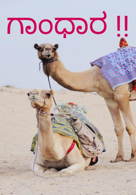 ಗಾಂಧಾರ !