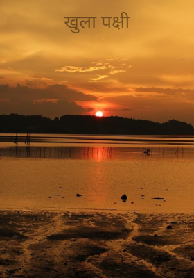 खुला पक्षी