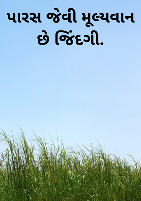 પારસ જેવી મૂલ્યવાન છે જિંદગી