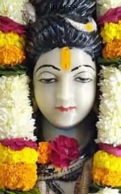 વાઘ બારસ