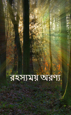 রহস্যময় অরণ্য