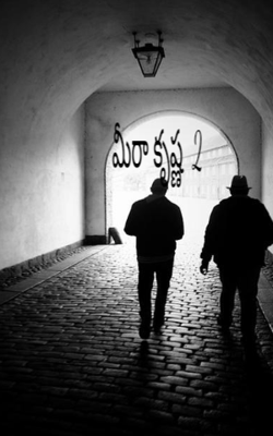 మీరా కృష్ణ  2