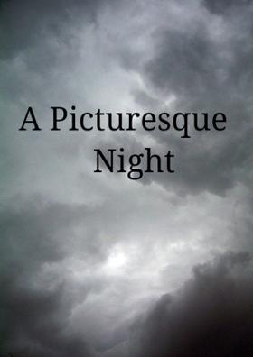 A Picturesque Night