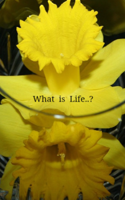 What  is  Life..?