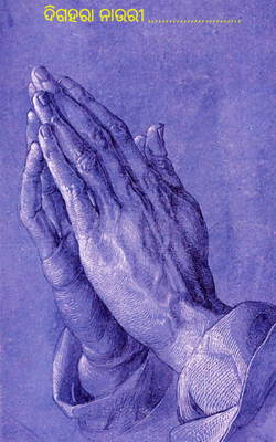 ଦିଗହରା ନାଉରୀ