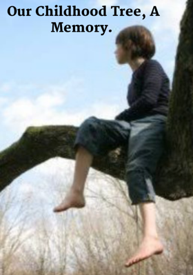 Our Childhood Tree, A Memory