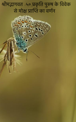 श्रीमद्भागवत -५०;प्रकृति पुरुष के विवेक से मोक्ष प्राप्ति का वर्णन