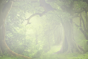 "Daily Affirmation🎇 is a key🔑, to give our mind a clear clarification🎯". 
Jimmy K. Jaisinghani.