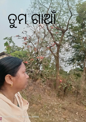 ତୁମ ଗାଆଁ