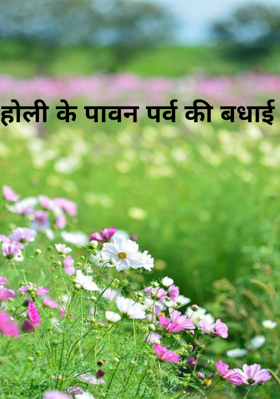 होली के पावन पर्व की बधाई