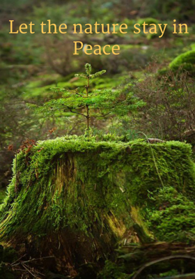Let The Nature Stay In Peace