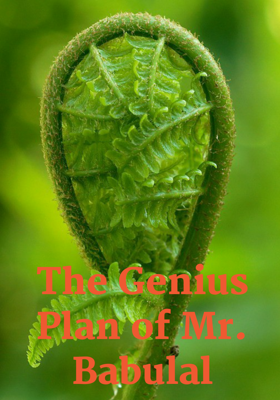 The Genius Plan of Mr. Babulal