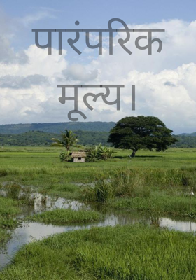 पारंपरिक मूल्य।