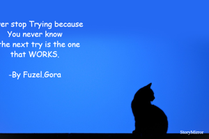 Never stop Trying because
You never know
If the next try is the one 
that WORKS.

-By Fuzel.Gora