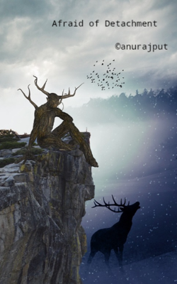 Afraid of Detachment 