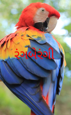 રંગબેરંગી