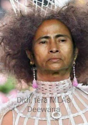 Didi, Tera MLAs Deewana