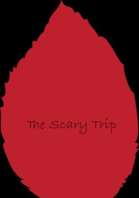 The Scary Trip