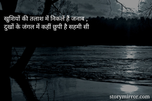 खुशियों की तलाश...