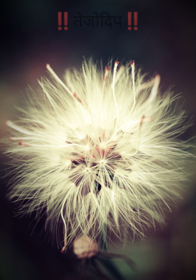 तेजोदिप