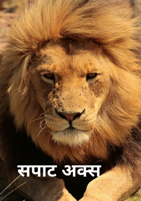 सपाट अक्स