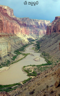 ଗାଁ ଅନୁଭୂତି