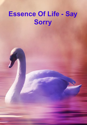 Essence Of Life - Say Sorry