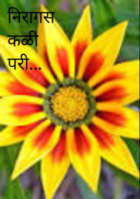 निरागस कळी परी...