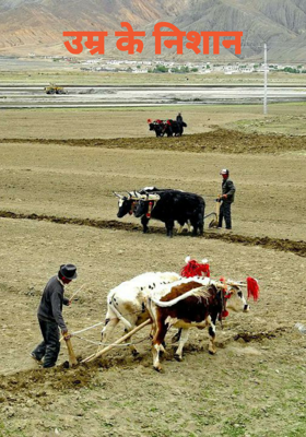 उम्र के निशान