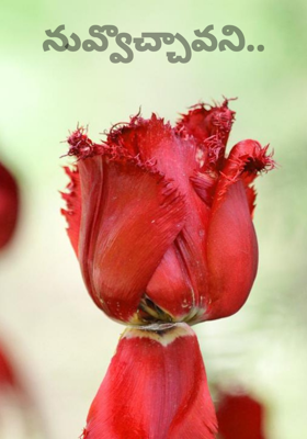 నువ్వొచ్చావని..