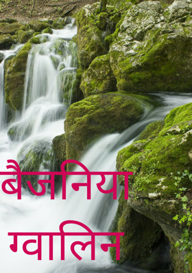 बैजनिया ग्वालिन