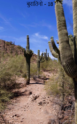 बुरातिनो - 18